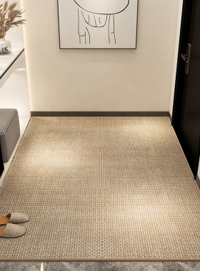 2026入户门地垫高级客厅卧室地毯进门垫仿剑麻入门口玄关脚垫免洗