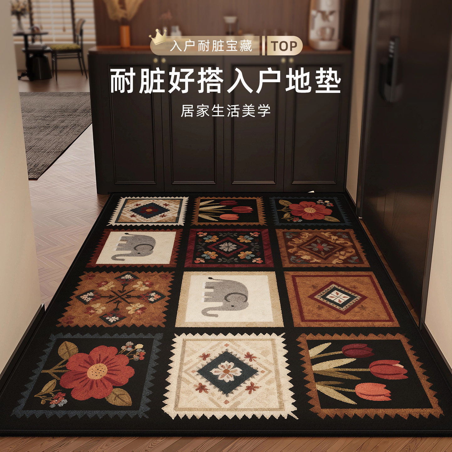 高级感入户门地垫玄关室内防滑垫