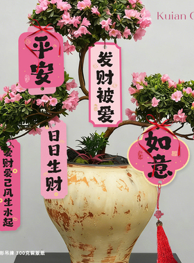 新年粉色系吊牌春节绿植盆栽年宵花福桶装饰吊卡大花蕙兰异形挂卡