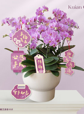 紫气东来蝴蝶兰吊牌心想事成福气满满年宵花祝福吊卡福桶装饰挂卡