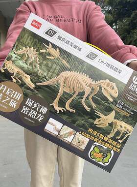 儿童拼恐龙玩具礼盒恐龙玩龙三角五合57889一拼装恐龙具幼装儿园