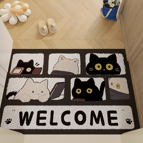 防滑丝圈地垫玄关地垫