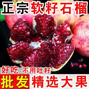 正宗云南软籽石榴特大果云南盐水无籽石榴现货当季新鲜产地包邮