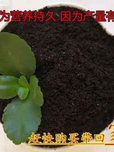 东北黑泥土花土养花种菜通用型有机营养土盆栽家用种植土壤腐殖土