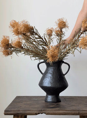 侘寂风复古黑色陶罐花瓶摆件客厅插花高级感双耳花瓶民宿装饰摆件