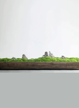 侘寂风木质长托盘绿植软装造景