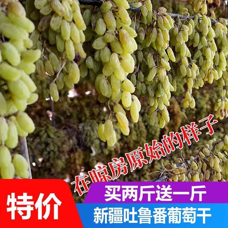 【买二斤送一斤】新疆葡萄干大颗粒无核白葡萄干休闲干果蜜饯零食
