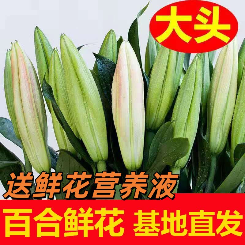 云南直发鲜花卉香水百合混搭家用办公室水培插花现摘现发基地直发