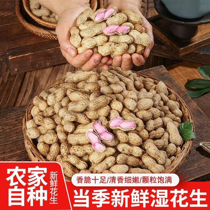 花生粉皮自种泥巴花生饱满