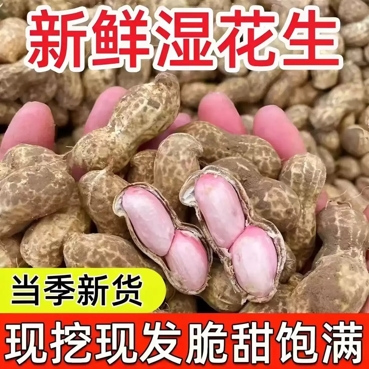 花生粉皮自种泥巴花生饱满