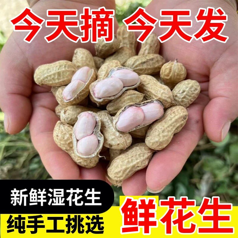 当季新鲜花生农家粉白皮花生水煮