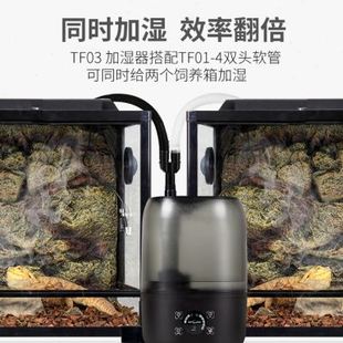 reptizoo爬虫加湿器爬宠雾化智能定时控制湿度陆龟蜥蜴守宫增湿器