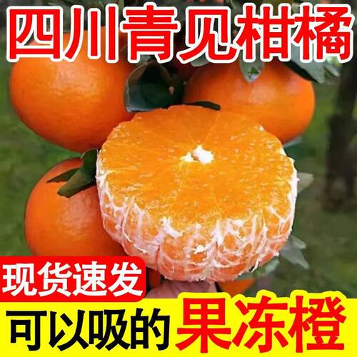四川特产青见果冻橙非爱耙柑橘子现摘新鲜水果整箱包邮