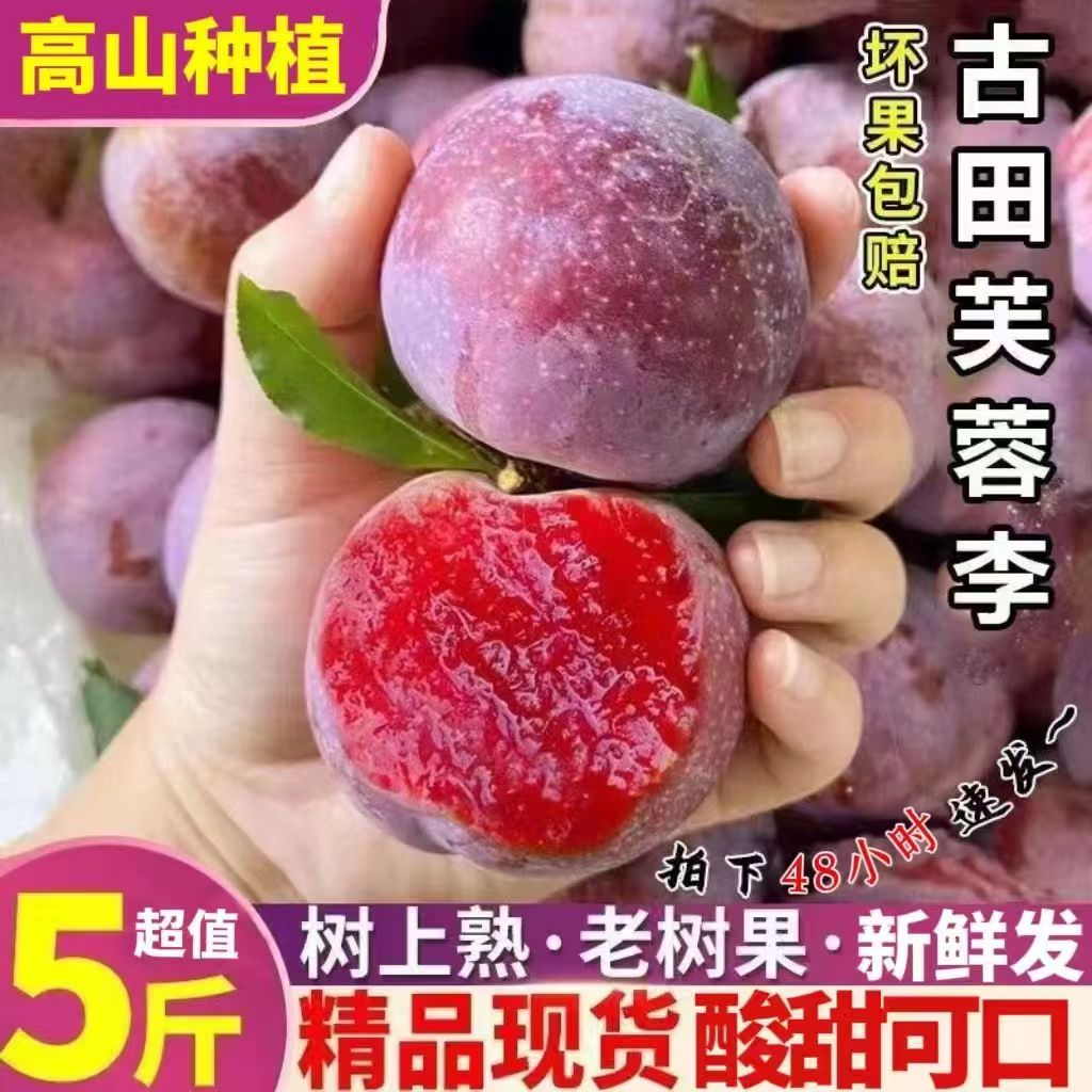 现货大果5斤华李新鲜现摘李子水果当季红心芙蓉李整箱包邮
