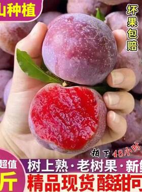 现货大果5斤华李新鲜现摘李子水果当季红心芙蓉李整箱包邮