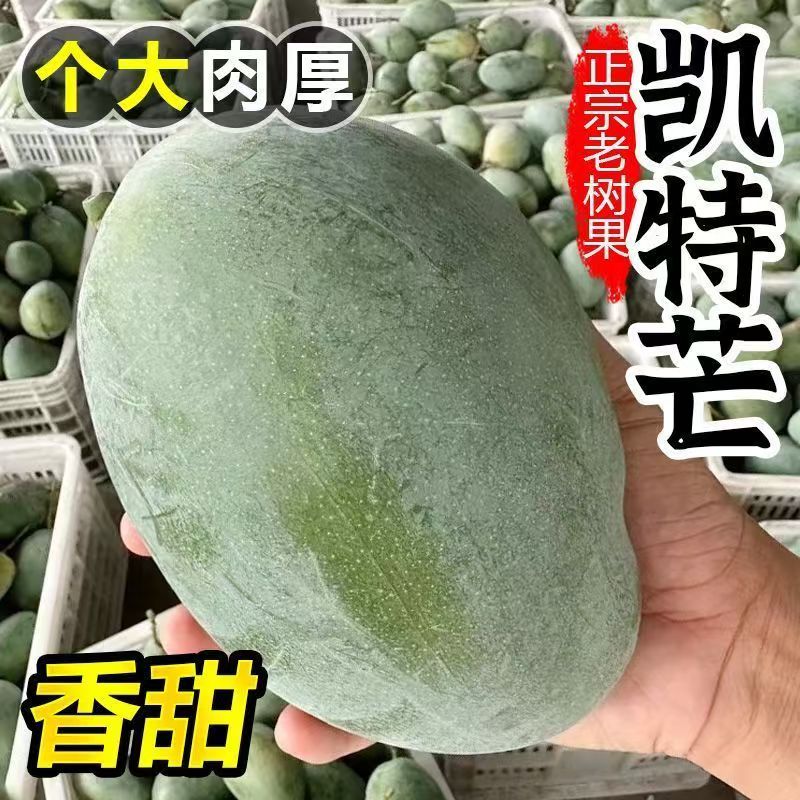 凯特芒新鲜水果当季自然熟青皮凯特大芒果现摘甜心芒整箱包邮热带