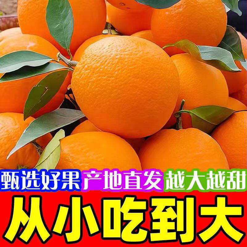 江西赣南脐橙应当季水果鲜橙整件包邮新鲜水果橙子脐橙包邮顺丰