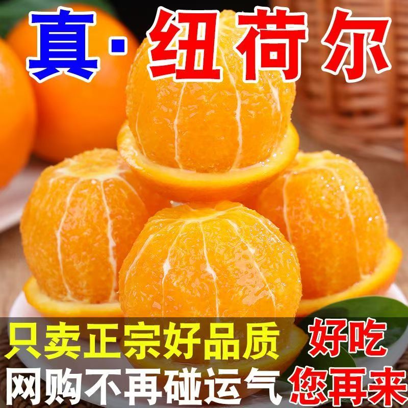 纽荷尔脐橙5斤包邮正宗湖南当季新鲜水果橙子整箱手剥橙果园直供