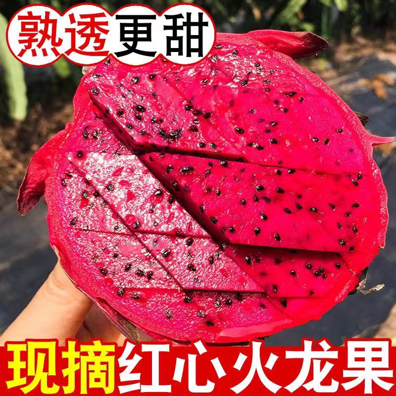云南金都一号红心火龙果整箱大果当季新鲜水果红肉密宝包邮