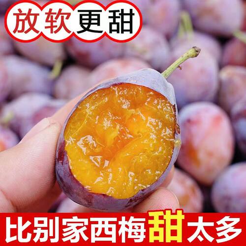 四川西梅新鲜孕妇大甜水果宝宝排便辅食汁李子加州干法兰西