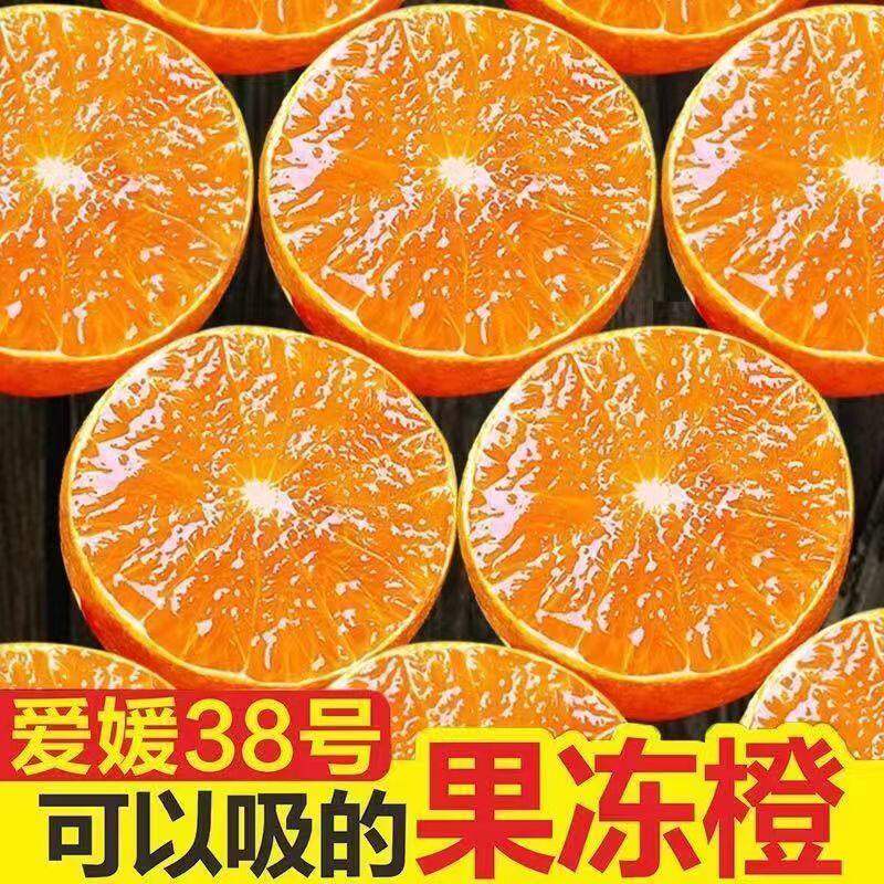四川爱媛果冻橙新鲜橙子水果应当季柑橘蜜桔大果正宗整箱包邮