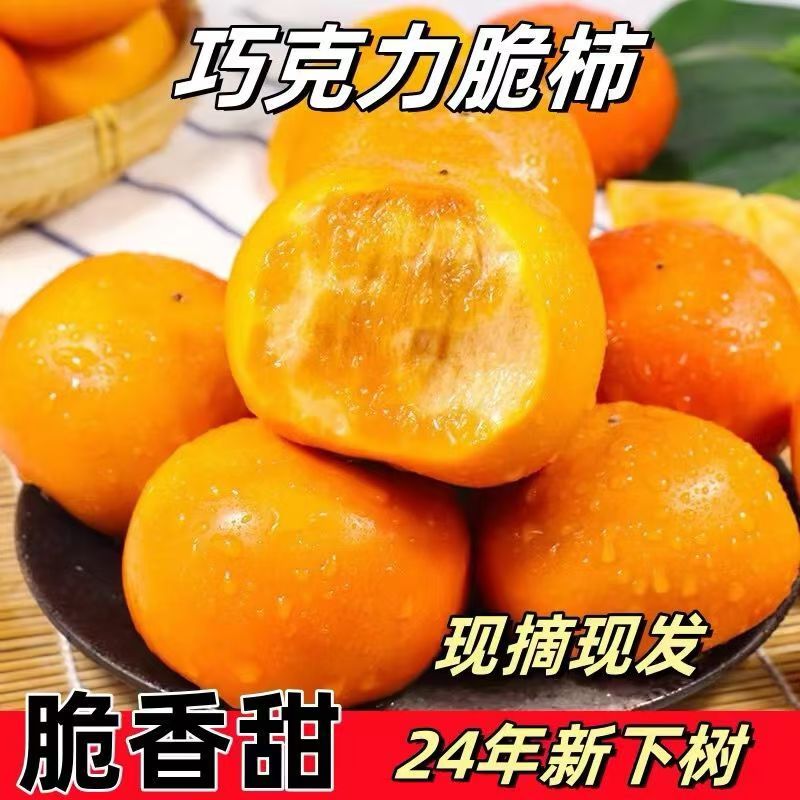 新鲜脆柿子水果硬柿应季广西巧克力脆甜柿现摘现发一整箱大果