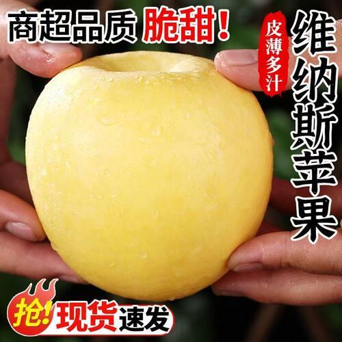 烟台维纳斯黄金苹果新鲜水果栖霞丑苹果冰糖心雀斑女神果彩箱