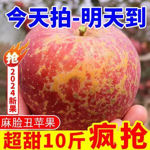 【特级】丑苹果冰糖心大凉山四川新鲜水果当季脆甜红富士整箱