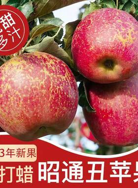 云南昭通丑苹果冰糖心新鲜水果甜脆红富士10斤整箱现摘孕妇无添加