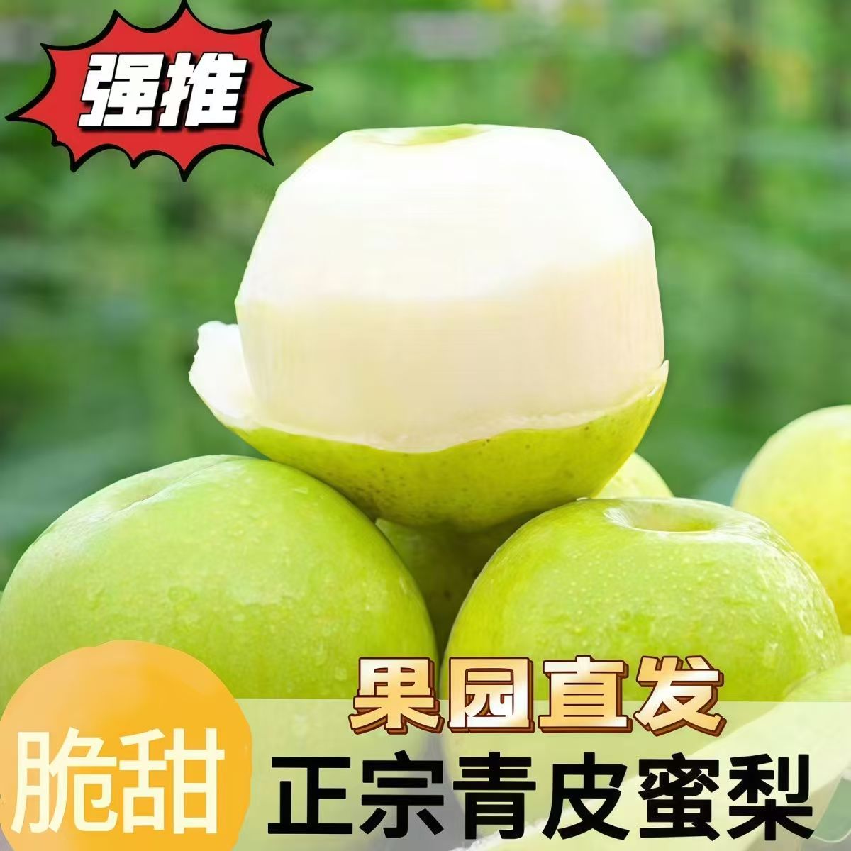 正宗砀山青梨新鲜水果皇冠梨现摘当季青皮蜜梨整箱包邮现摘砀山梨