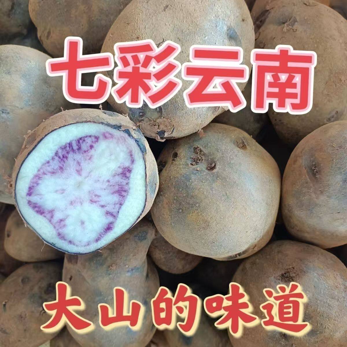 云南七彩土豆5斤现挖新鲜红皮红心小土豆当季蔬菜整箱马铃薯洋芋