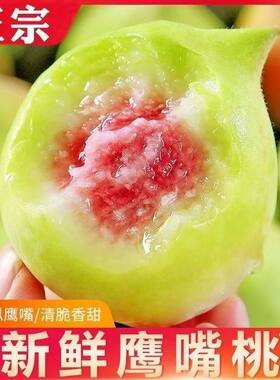 鹰嘴桃新鲜现摘现发自然熟脆甜多汁当季云南蒙自桃子水果非连平桃