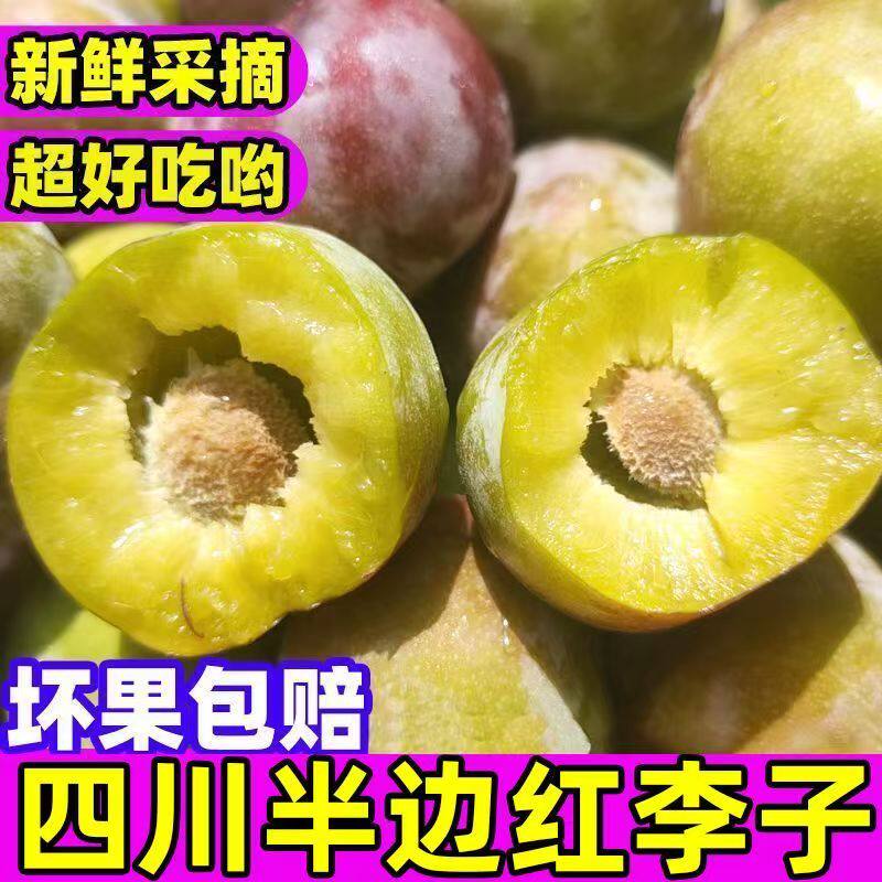四川李子半边红茵红李土李子新鲜水果青脆李包邮脆甜脱骨离核
