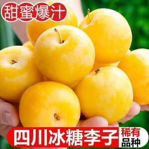 汉源桃花李子新鲜水果甜冰糖李黄金奈李恐龙蛋孕妇应季整箱批发