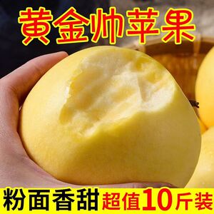 黄元帅苹果新鲜丑水果粉面果刮泥果老品种黄金帅正宗黄香蕉苹果
