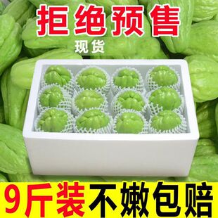 云南佛手瓜窝瓜捧瓜丰收瓜自种产地直发新鲜蔬菜现摘现卖包邮批发