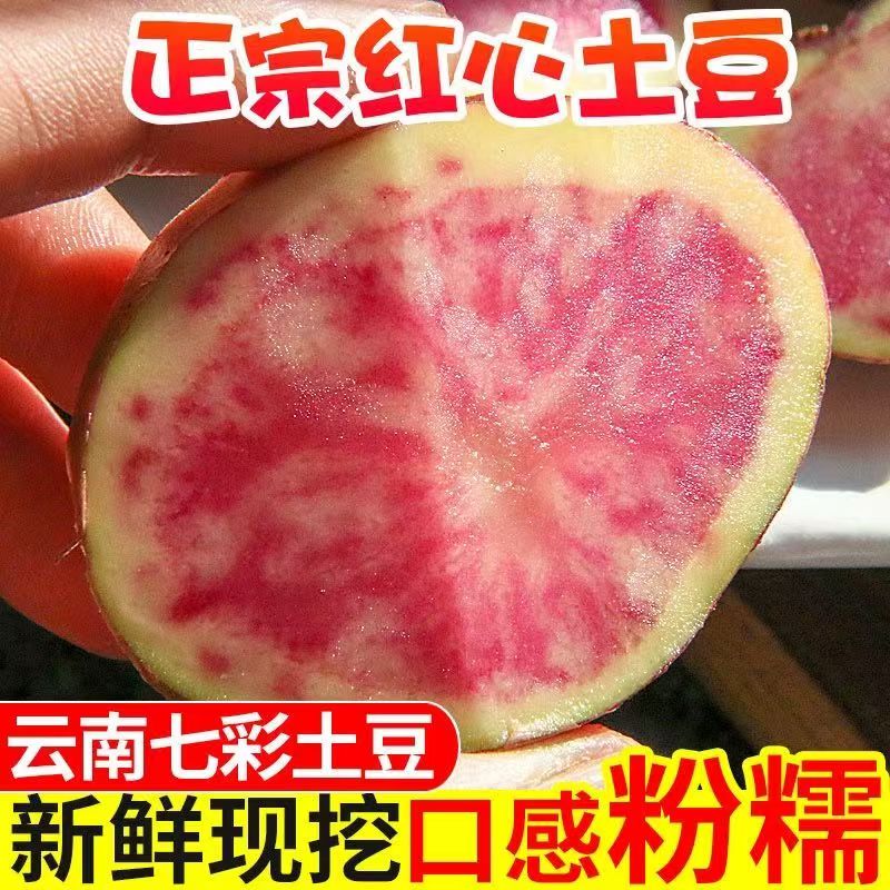 云南七彩土豆现挖新鲜红皮红心小土豆当季蔬菜整箱马铃薯洋芋