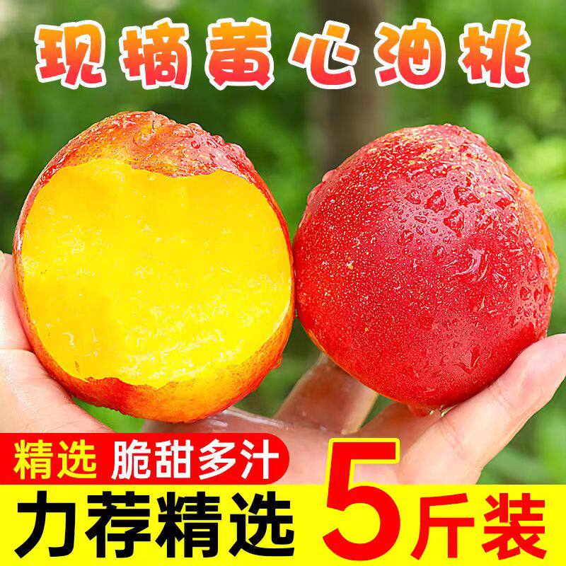 黄心油桃5斤大桃子水果新鲜当季整箱包邮应季水密桃孕妇蜜脆桃