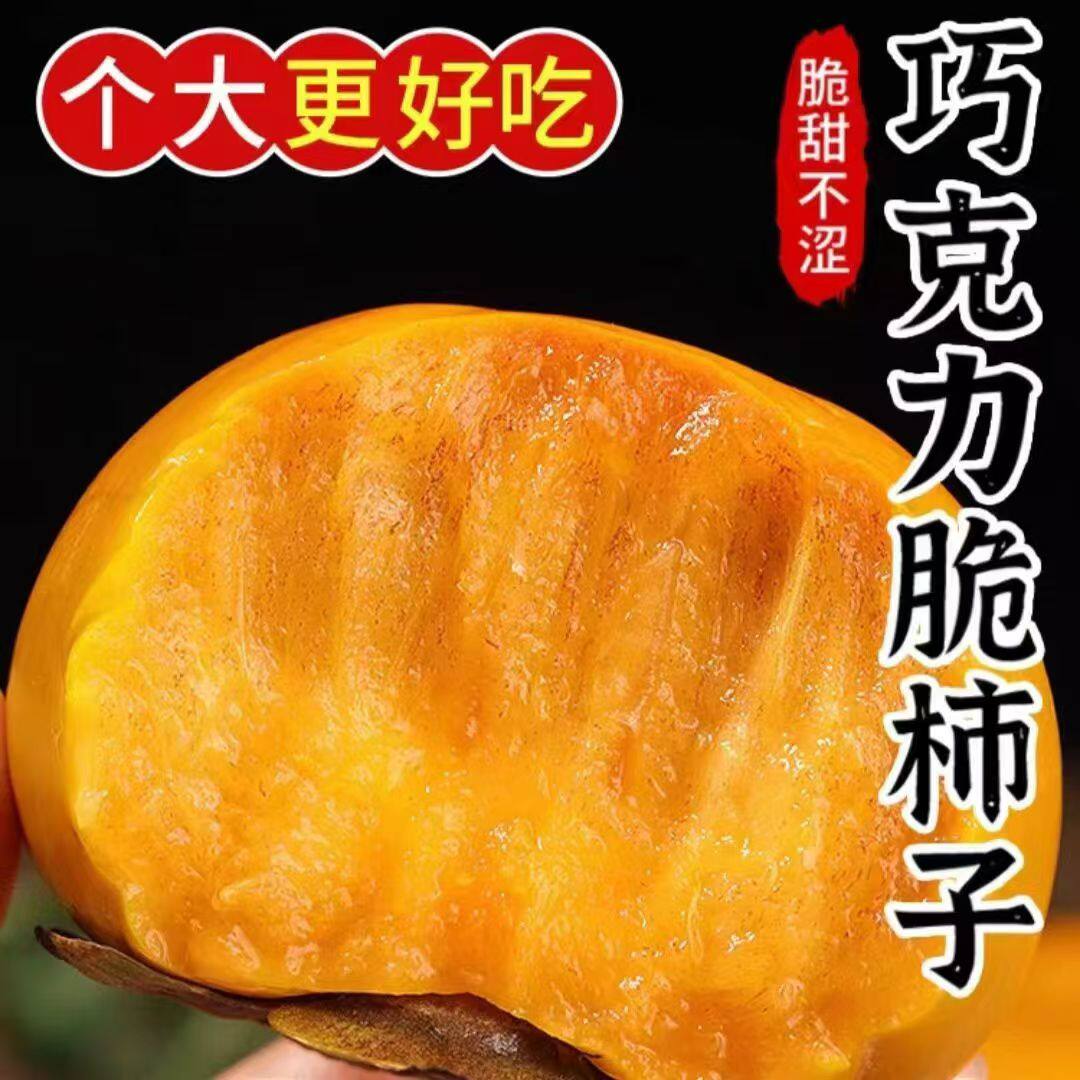 新鲜脆柿子水果硬柿应季广西巧克力脆甜柿现摘现发一整箱大果包邮