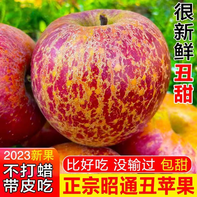 正宗云南丑苹果新鲜水果应当季冰糖心萍果脆甜红富士大果整箱