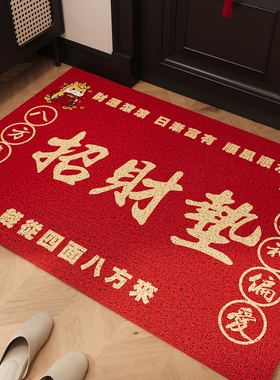 红色入户门地垫丝圈脚垫耐磨除尘免洗玄关大门进门耐脏可裁剪地毯