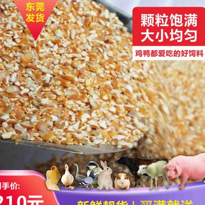 纯玉米碎角喂鸡鸭鹅猪马牛羊兔动物食粮散养禽类饲料宠物钓鱼打窝