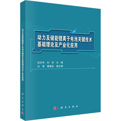 正版动力及储能锂离子电池关键技术基础理论及产业化应用谷亦杰孙杰著