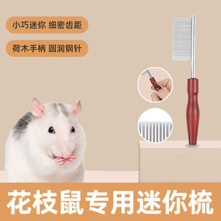 花枝鼠专用梳子宠物小宠面梳嘴毛眼屎梳泪痕小排梳嘴毛密齿梳