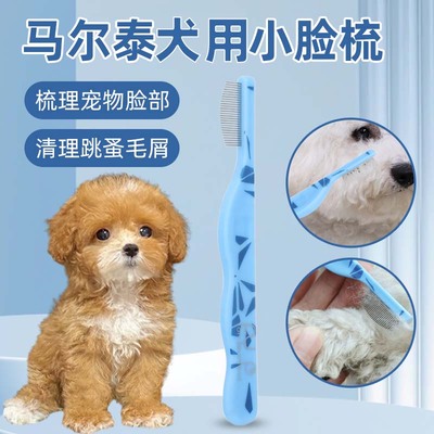马尔泰犬用面梳狗狗梳毛嘴毛泪痕刷泪痕梳子排梳眼屎清理密齿梳