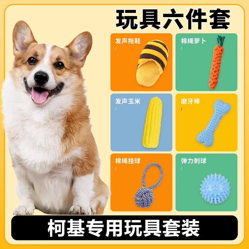 柯基犬犬用玩具套装耐咬发声宠物狗磨牙玩具小型犬解闷幼犬用品