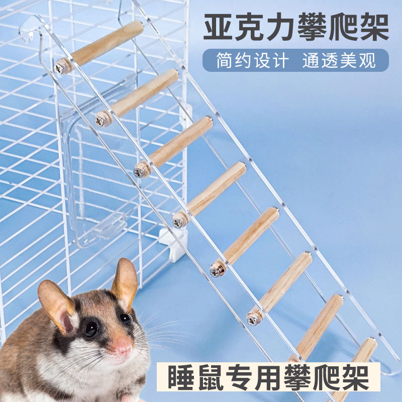 睡鼠专用攀爬梯子亚克力云梯多层