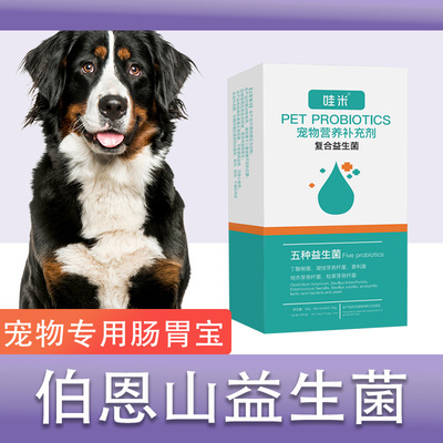 伯恩山犬专用益生菌宠物狗用幼犬成犬老犬肠胃宝高活性营养补充剂