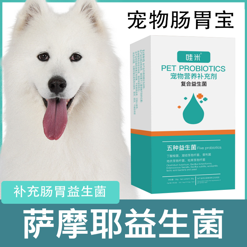 萨摩耶专用益生菌粉宠物犬用狗狗