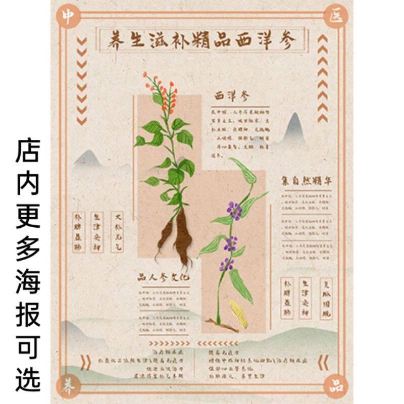 养生滋补精品西洋参宣传海报草药贴纸中药店装饰画挂图石斛15